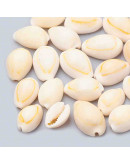 Concha de mar. Torito. De 12 a 17 milímetros. Sin perforación. 20 unidades.