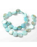 Concha de mar. Monedas. Celeste. 14 mm diámetro. 2 mm perforación. 28 uds hilo (aproximado).