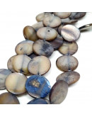 Concha de mar. Monedas. Gris. 14 mm diámetro. 2 mm perforación. 28 uds hilo (aproximado).