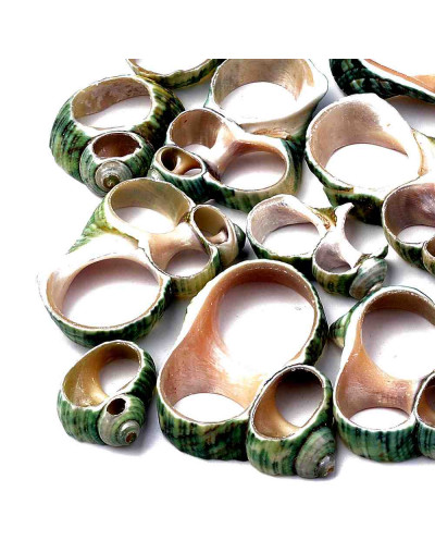 Shell. De 16 a 34 mm. 3 unidades