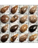 Madera Fósil Nicaragua. Piedra Ranurada. Dije grande.