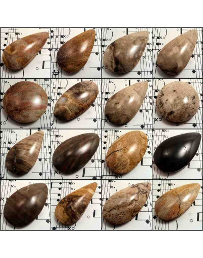 Madera Fósil Nicaragua. Piedra Ranurada. Dije grande.