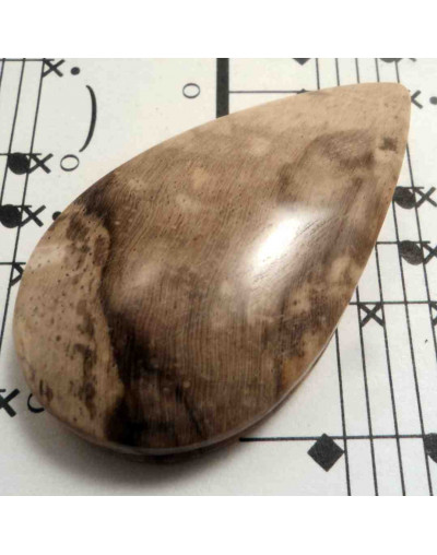 Madera Fósil Nicaragua. Piedra Ranurada. Dije grande.