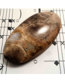 Madera Fósil Nicaragua. Piedra Ranurada. Dije grande.