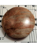 Madera Fósil Nicaragua. Piedra Ranurada. Dije grande.