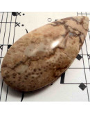 Madera Fósil Nicaragua. Piedra Ranurada. Dije grande.