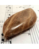 Madera Fósil México. Piedra Ranurada. Dije grande.