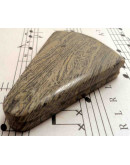 Madera Fósil México. Piedra Ranurada. Dije grande.