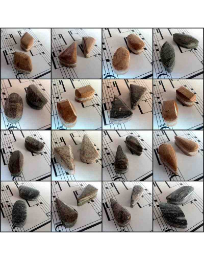 Madera Fósil México. Piedra Ranurada. Par para aretes.