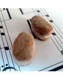 Madera Fósil México. Piedra Ranurada. Par para aretes.