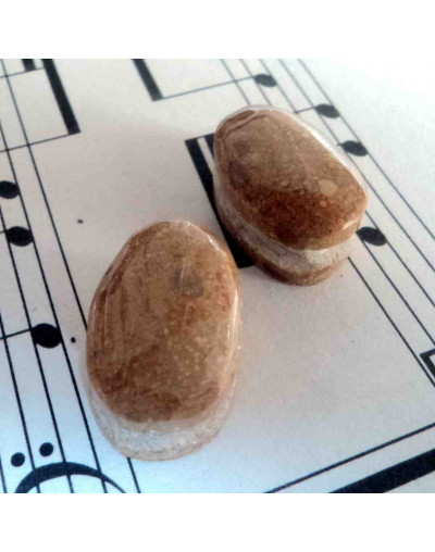 Madera Fósil México. Piedra Ranurada. Par para aretes.