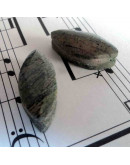 Madera Fósil México. Piedra Ranurada. Par para aretes.