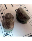 Madera Fósil México. Piedra Ranurada. Par para aretes.