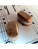 Madera Fósil México. Piedra Ranurada. Par para aretes.