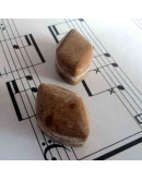 Madera Fósil México. Piedra Ranurada. Par para aretes.