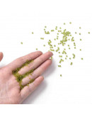 Chaquira. Cristal brillante. YELLOW GREEN. 2 mm. 1 mm perforación. 40 gramos (2600 uds aprox)