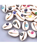 Concha de mar. Torito+Ojo Turco. Color mixto. De 18 a 22 mm. Sin perforación. 5 unidades.