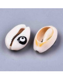 Concha de mar. Torito+Ojo Turco. Color mixto. De 18 a 22 mm. Sin perforación. 5 unidades.