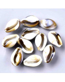 Toritos shell. 19,5x12x10 milímetros. 1 mm perforación. 20 unidades.