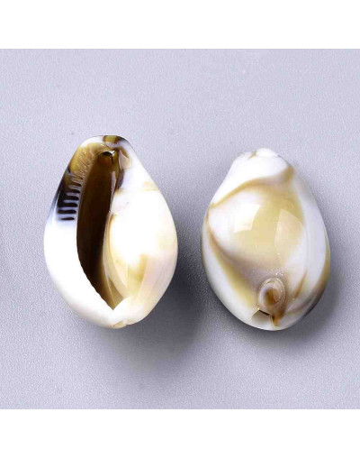 Toritos shell. 19,5x12x10 milímetros. 1 mm perforación. 20 unidades. Toritos shell. 19,5x12x10 milímetros. 1 mm perforación. 20 unidades.