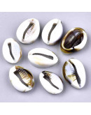 Toritos shell. 18X12X6 milímetros. Sin perforación. 20 unidades.