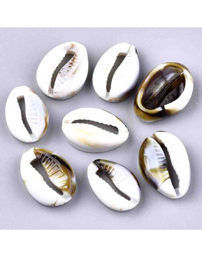 Toritos shell. 18X12X6 milímetros. Sin perforación. 20 unidades.