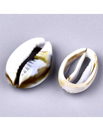 Toritos shell. 18X12X6 milímetros. Sin perforación. 20 unidades.