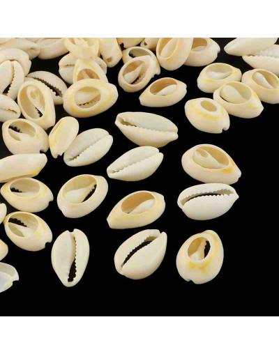 Concha de mar. Torito. De 13 a 16 milímetros. Sin perforación. Lijados. 20 unidades.