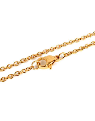 Acero inoxidable. Color dorado. Con cierre. 45 centímetros largo. 2 milímetros grosor. 1 unidad. Acero inoxidable. Color dorado. Con cierre. 45 centímetros largo. 2 milímetros grosor. 1 unidad.