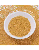 MIYUKI Delica. Color: SQUASH. 1,3x1,6 mm (11/0). 0,8 mm perforación. 10 gramos (2000 uds aprox). MIYUKI Delica. Color: SQUASH. 1,3x1,6 mm (11/0). 0,8 mm perforación. 10 gramos (2000 uds aprox).