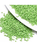 FGB Delica. Color: LUSTER LIGHT GREEN. 1,5x1 mm. 0,8 mm perforación. 10 gr (2000 uds aprox).