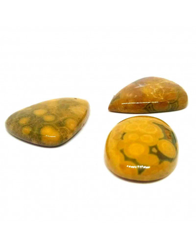 Jásper Rain Forest. Cabujón. Diferentes formas. Venta por gramos.