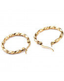 Aretes de aro. Twist (2). Acero inoxidable. Color dorado. 25 mm diámetro. 2,5 mm grosor. 1 par. Aretes de aro. Twist (2). Acero inoxidable. Color dorado. 25 mm diámetro. 2,5 mm grosor. 1 par.