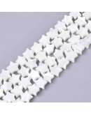 Concha de mar. Estrella. 8x8x2 milímetros. 0,80 mm de perforación. 1 unidad