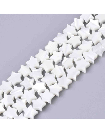 Concha de mar. Estrella. 8x8x2 milímetros. 0,80 mm de perforación. 1 unidad