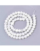 Concha de mar. Estrella. 8x8x2 milímetros. 0,80 mm de perforación. 1 unidad