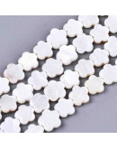 Concha de mar. Flores. 8x8x2,5 milímetros. 0,6 mm de perforación. 2 unidades.