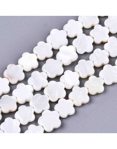 Concha de mar. Flores. 8x8x2,5 milímetros. 0,6 mm de perforación. 2 unidades.