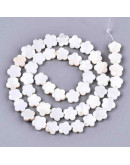 Concha de mar. Flores. 8x8x2,5 milímetros. 0,6 mm de perforación. 2 unidades.