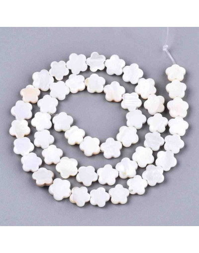 Concha de mar. Flores. 8x8x2,5 milímetros. 0,6 mm de perforación. 2 unidades.