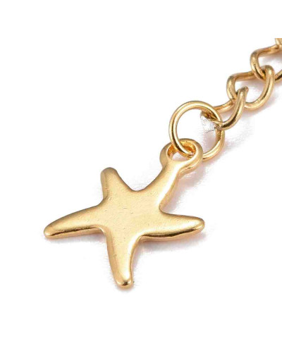Extensión para cadena. Estrella de mar. Acero inoxidable. Color dorado. 60 milímetros. 2 unidades.