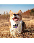 Moldes de silicona. Para resina. Tema mascotas. 150x182x7 milímetros. 1 unidad. Moldes de silicona. Para resina. Tema mascotas. 150x182x7 milímetros. 1 unidad.