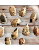 Leopardita. Origen: Perú. Dije ranurado. Varias formas. 1 unidad. Leopardita. Origen: Perú. Dije ranurado. Varias formas. 1 unidad.