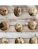 Leopardita. Origen: Perú. Dije ranurado. Varias formas. 1 unidad. Leopardita. Origen: Perú. Dije ranurado. Varias formas. 1 unidad.