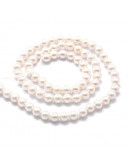 Concha de mar. Esfera color perla. 4 milímetros. 1 mm perforación. 95 uds hilo (aprox).