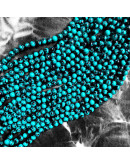 Turquesa sintética. Xinjiang BLUE. 10 mim diámetro. 1 mm perforación. 35 uds hilo aprox. 1 hilo.