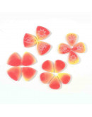 Molde para resina. Uñas de guitarra. 165x136x5 mm. 1 ud.