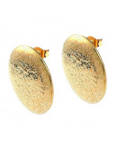 Pin aretes con cierre. Acero inoxidable. Color dorado. Ovalo 25x20 mm. Pin 10.5x0.5 mm. 2 uds.