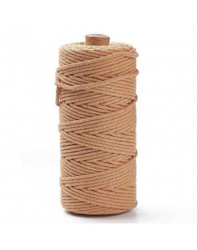 Hilo 100% algodón. Macramé. 3 milímetros grosor. Color: DARK SALMON. 100 metros. 1 cono.