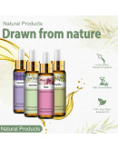 Aceite esencias. 9 Esencias. 10 ml. Jardín. Incluye estuche y 2 dosificadores. 1 set.